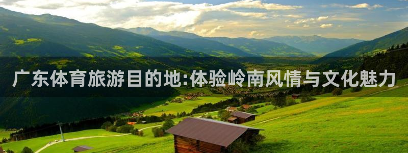 3377体育官网入口下载最新