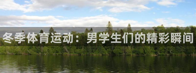 3377体育