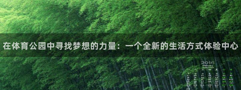 3377体育官网入口网页版