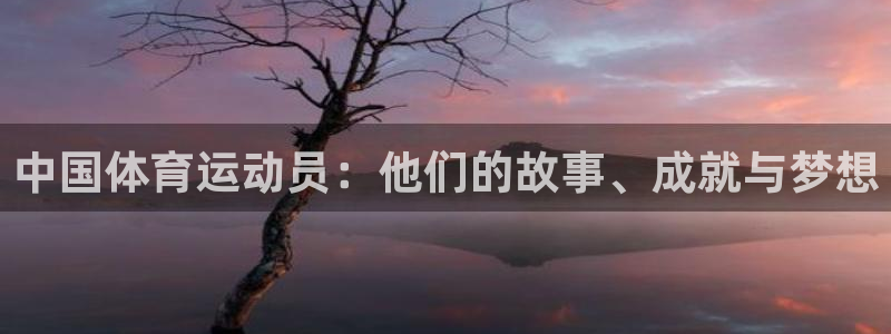 3377体育app官方下载：中国体育运动员：他们的故事、成就与梦想
