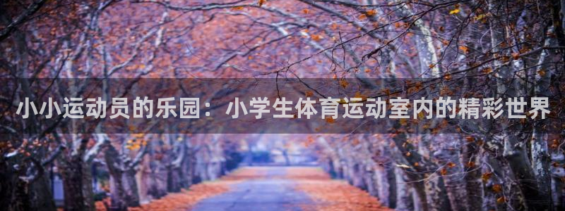 3377体育平台：小小运动员的乐园：小学生体育运动室内的精彩世界