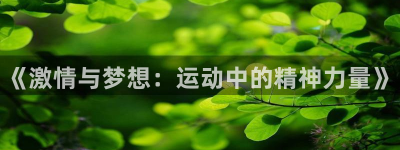 3377体育是正规的吗：《激情与梦想：运动中的精神力量》