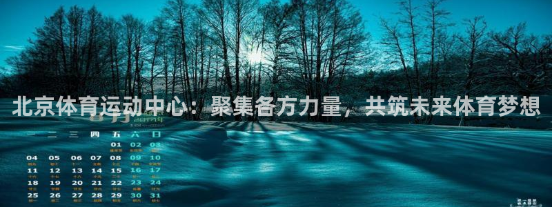 3377体育app登录入口：北京体育运动中心：聚集各方力量，共筑未来体育梦想