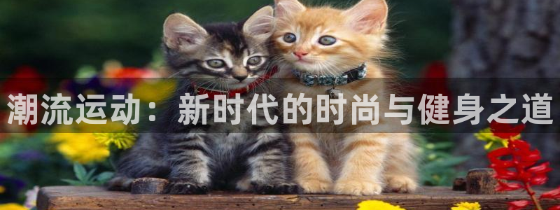 3377体育中国官方网站入口：潮流运动：新时代的时尚与健身之道